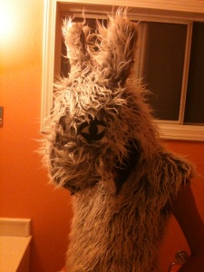 llama costume push me pull you halloween